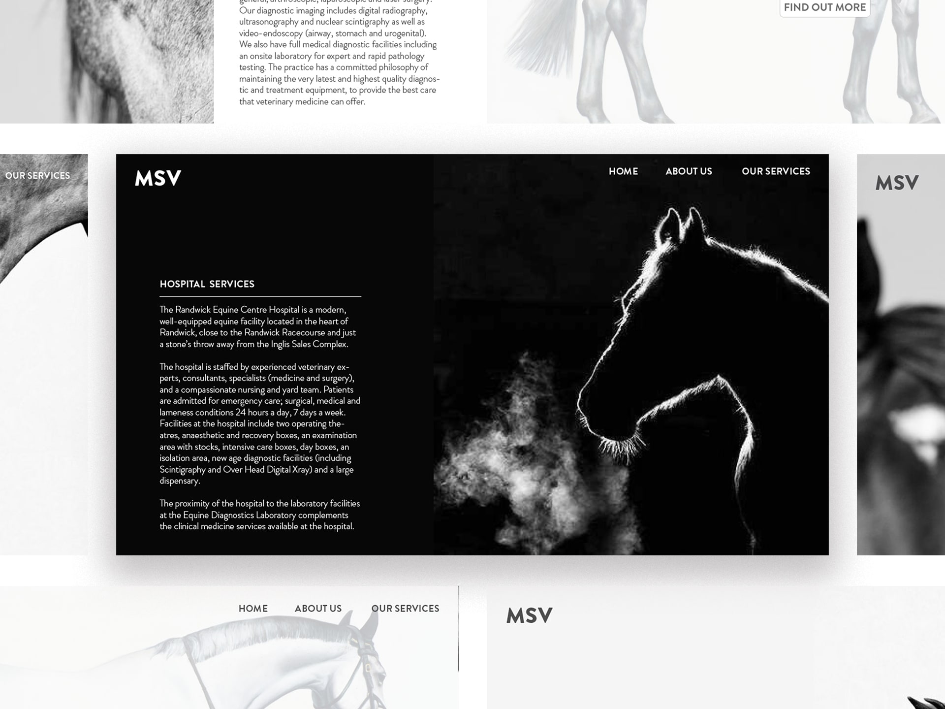MSV 2