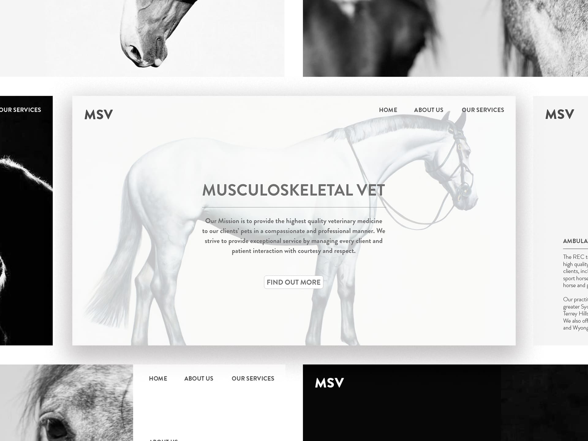 MSV